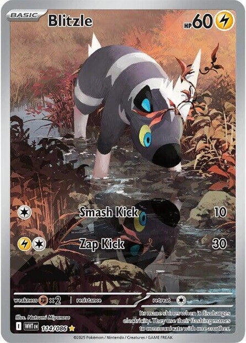 White Flare Pokémon Blitzle single card, featuring artwork of the Electric-type Pokémon in a dynamic pose.