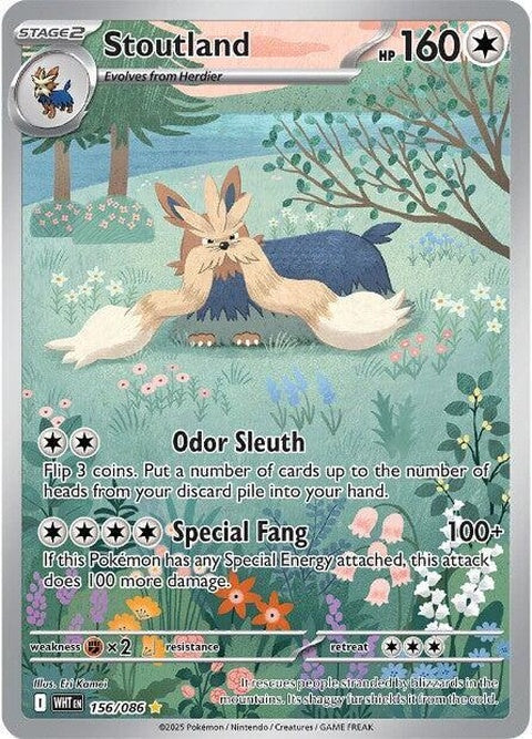 White Flare Stoutland Pokémon single card showing a white and brown dog-like Pokémon with a determined expression.